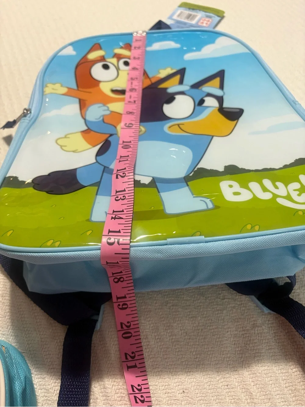 Bluey backpack matching